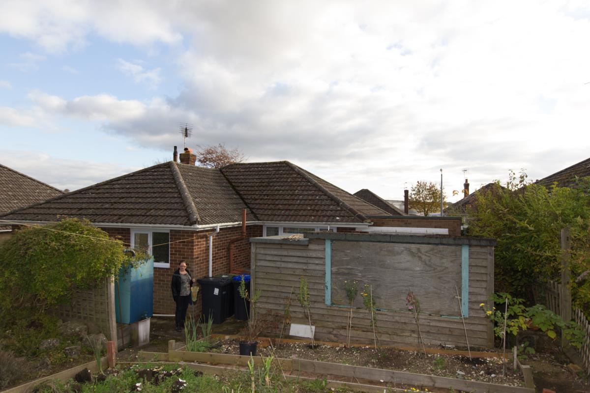 The garden